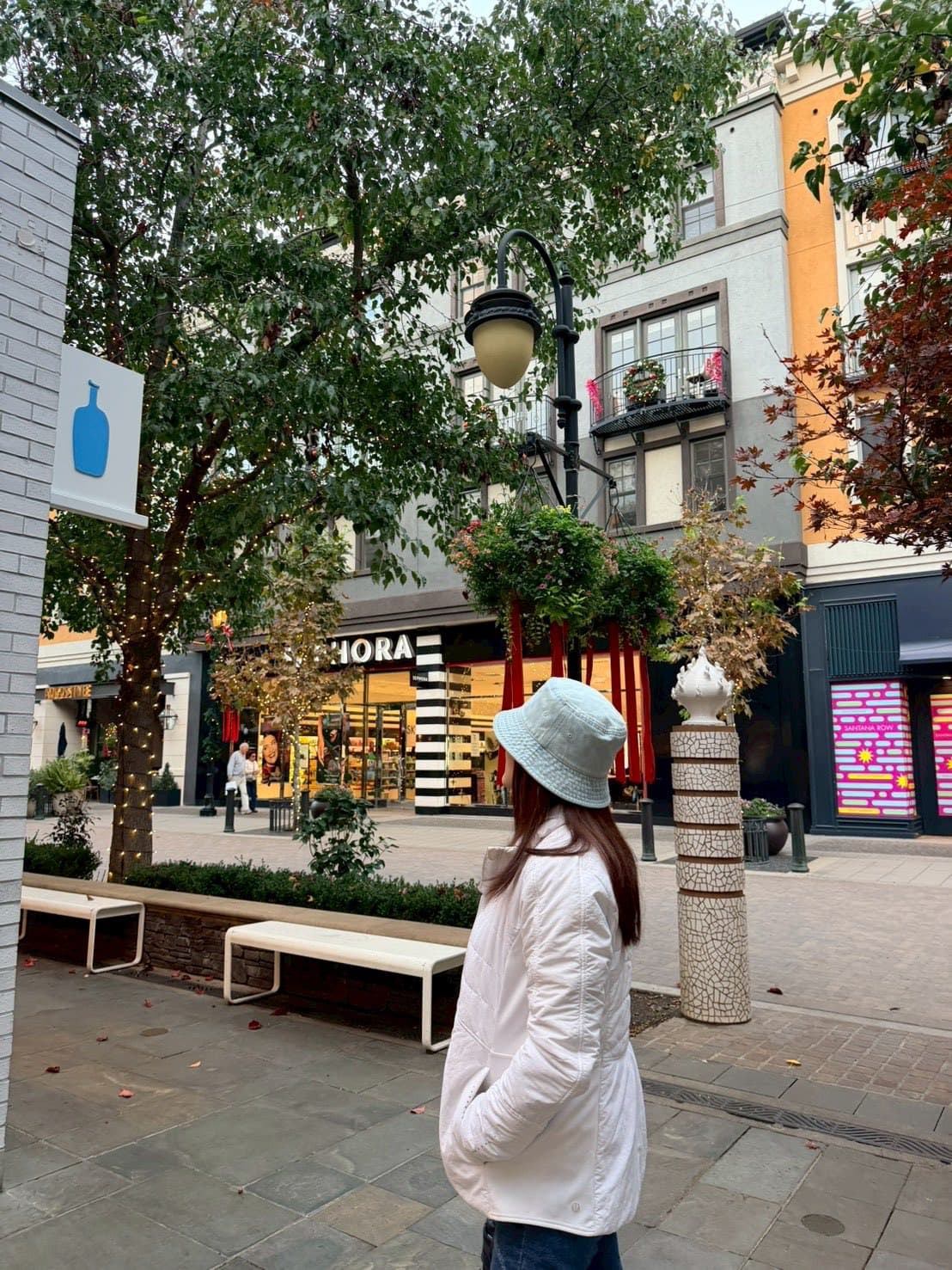 Blue Bottle 杯款系列