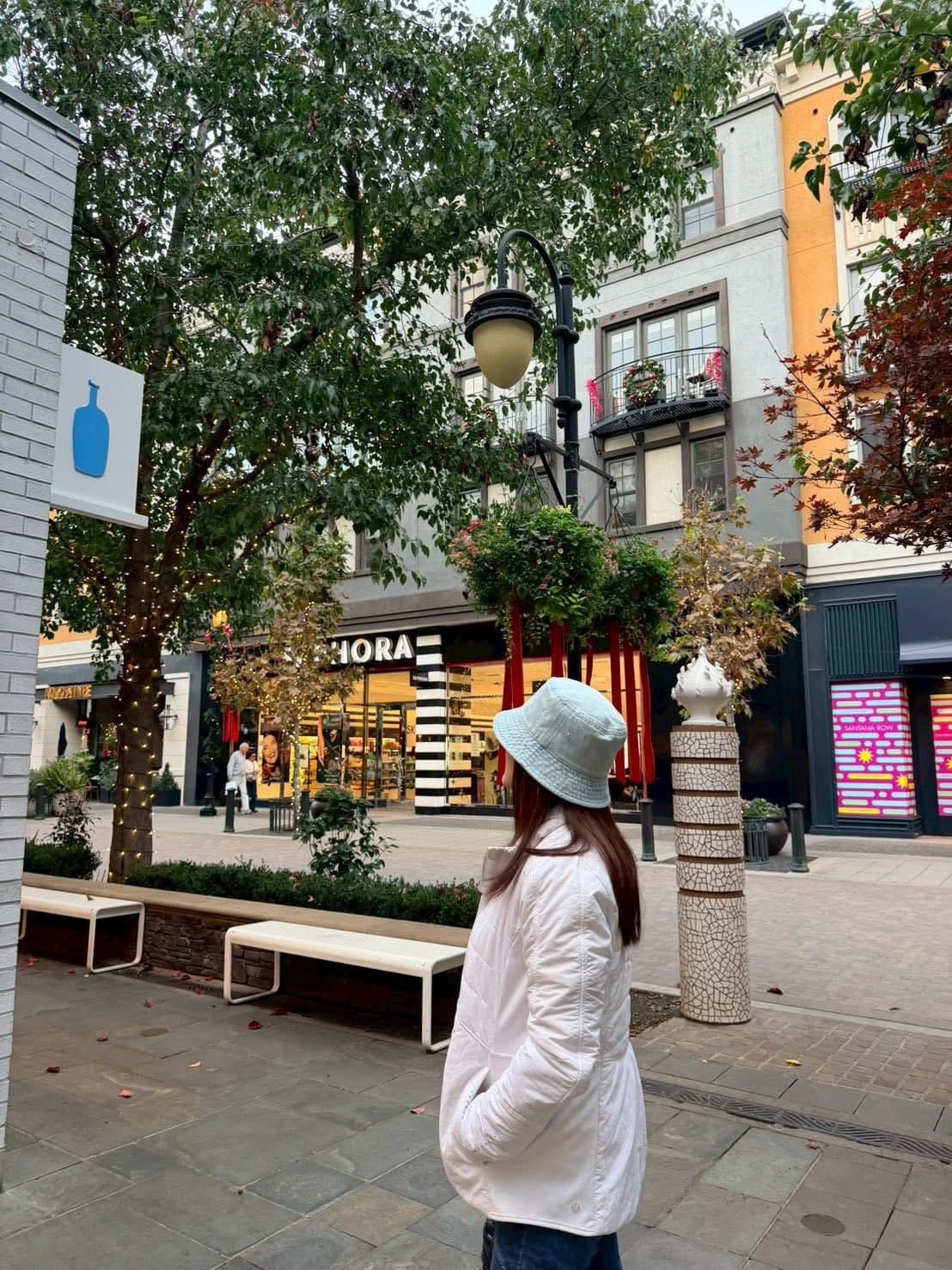 Blue Bottle 杯款系列