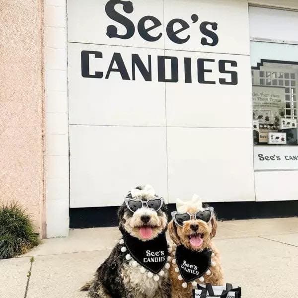 See's Candies 焦糖杏仁巧克力與棒棒糖